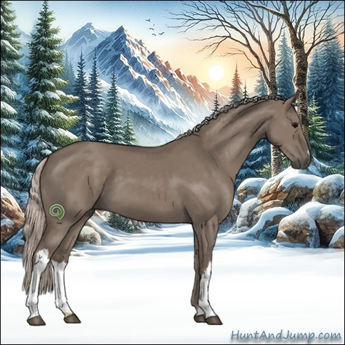 Horse Color:Silver Grullo