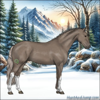 Horse Color:Silver Grullo