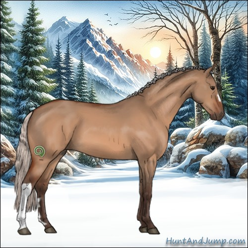 Horse Color:Silver Bay Dun 