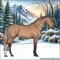 Horse Color:Silver Bay Dun 
