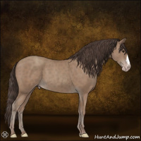 Horse Color:Classic Champagne 