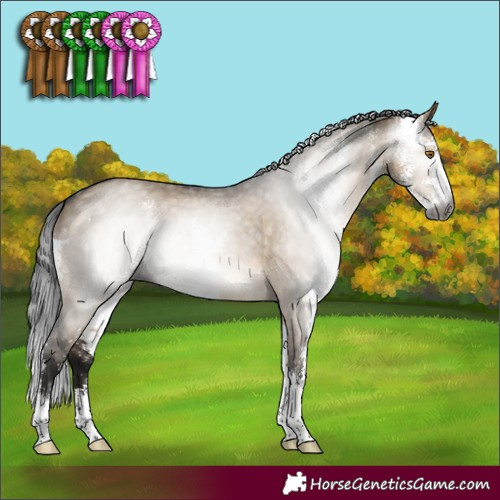 Horse Color:Gray Brown Dun Sabino 