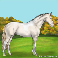 Horse Color:Smoky Blue Roan Pearl Tobiano 