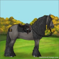 Horse Color:Grullo Sabino Rabicano 