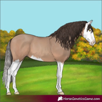 Horse Color:Amber Champagne Splash 