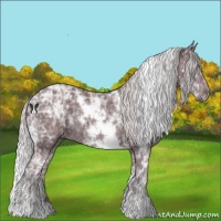 Horse Color:White Spotted Chocolate Silver Black Chinchilla Ice 