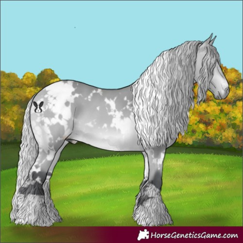 Horse Color:White Spotted Silver Bay Chinchilla 