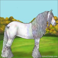 Horse Color:Nacre White Spotted Silver Bay Chinchilla Ice 