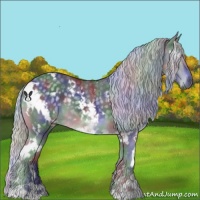 Horse Color:Nacre White Spotted Silver Black Chinchilla 