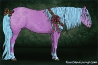 Horse Color:Watercolor Bay 