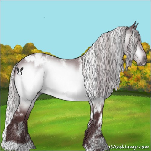 Horse Color:White Spotted Chocolate Silver Bay Chinchilla 