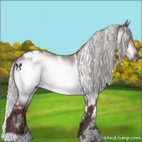 Horse Color:White Spotted Chocolate Silver Bay Chinchilla 