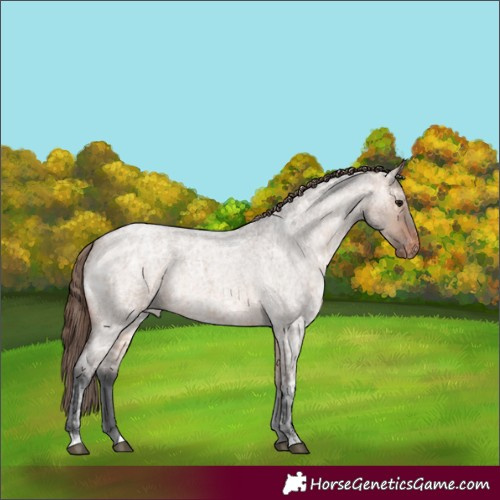 Horse Color:Brown Ice Roan Dun Varnish
