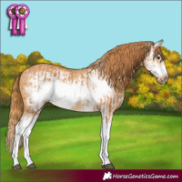 Horse Color:Chestnut Splash Frame and Red Dun Splash Frame
