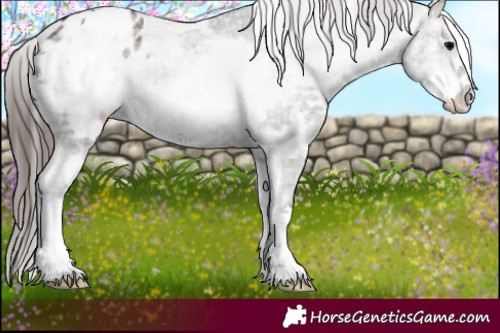 Horse Color:White Spotted Blue Onyx Ice Appaloosa 