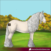 Horse Color:Cremello Splash  and Cremello Splash Rabicano 