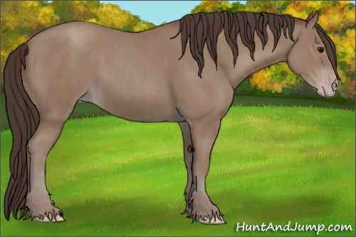 Horse Color:Classic Champagne  and Classic Champagne 