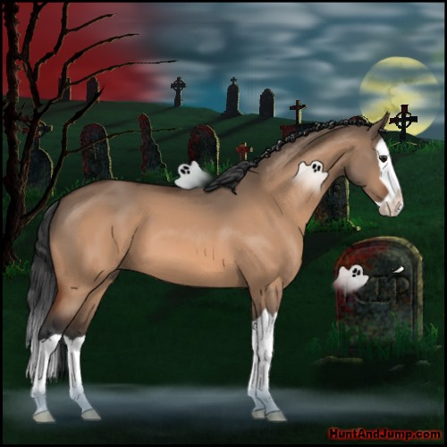 Horse Color:Brown Dun Splash 