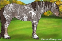 Horse Color:White Spotted Liver Chestnut Ice 