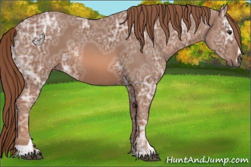 Horse Color:Chestnut Ice Sabino 