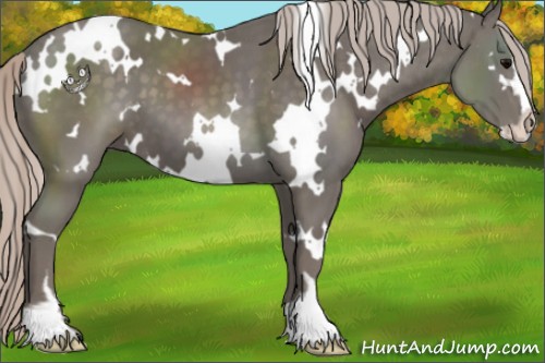 Horse Color:White Spotted Silver Black Sabino 