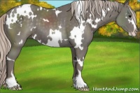 Horse Color:White Spotted Silver Black Sabino 
