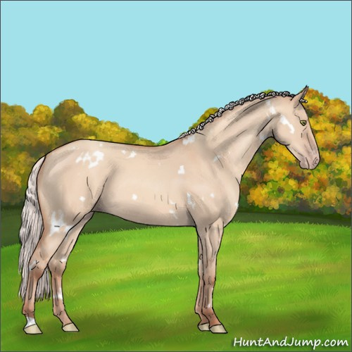 Horse Color:White Spotted Silver Amber Champagne Dun 