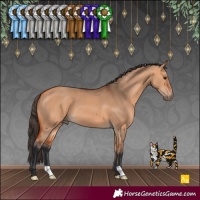 Horse Color:Bay Dun