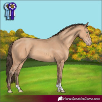 Horse Color:Amber Champagne 
