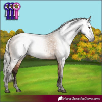Horse Color:Gray White Spotted Silver Bay Dun Rabicano 