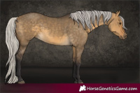 Horse Color:Silver Buckskin Dun 