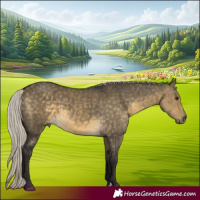 Horse Color:Silver Buckskin Dun Rabicano 