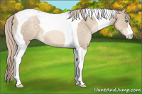 Horse Color:Chocolate Palomino Pearl Tobiano