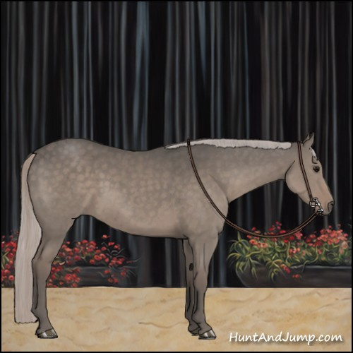 Horse Color:Silver Grullo 