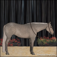 Horse Color:Silver Grullo 