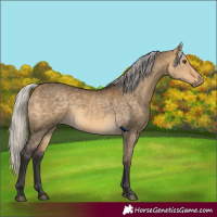 Horse Color:Silver Buckskin Dun 