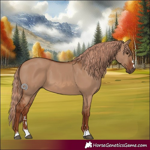 Horse Color:Red Dun 