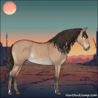 Horse Color:Bay Dun Rabicano 
