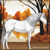 Horse Color:Bay Sabino 