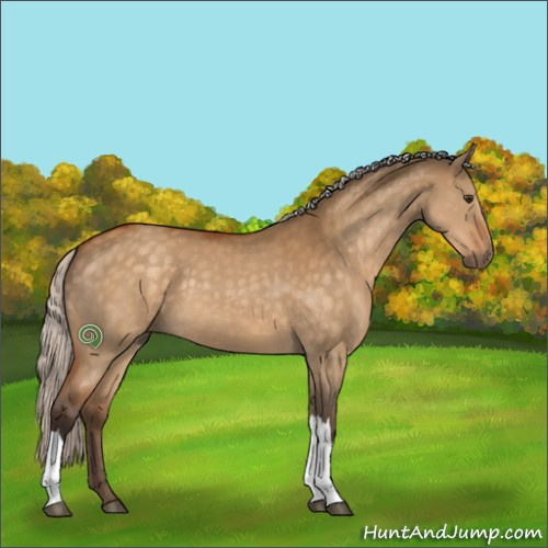 Horse Color:Silver Buckskin Dun