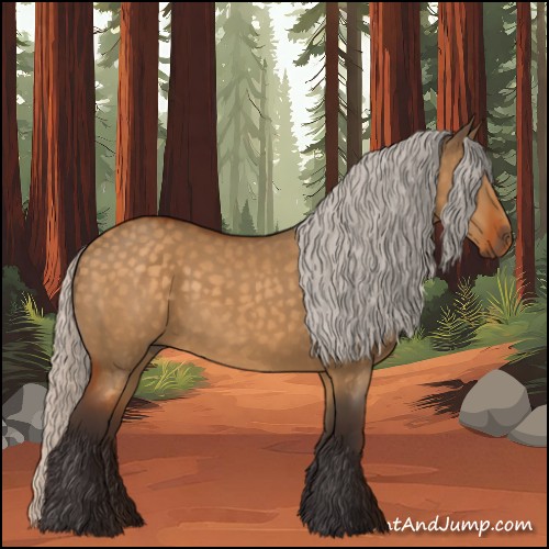 Horse Color:Silver Buckskin Dun