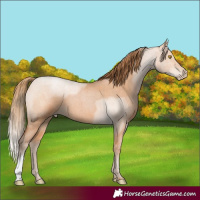 Horse Color:Bay Roan Pearl