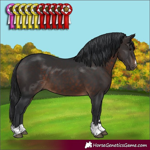 Horse Color:Brown 