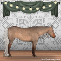 Horse Color:Silver Brown Dun 
