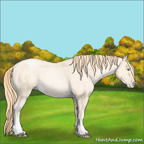 Horse Color:Buckskin Roan Pearl 
