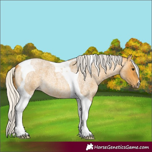 Horse Color:Silver Buckskin Roan Tobiano