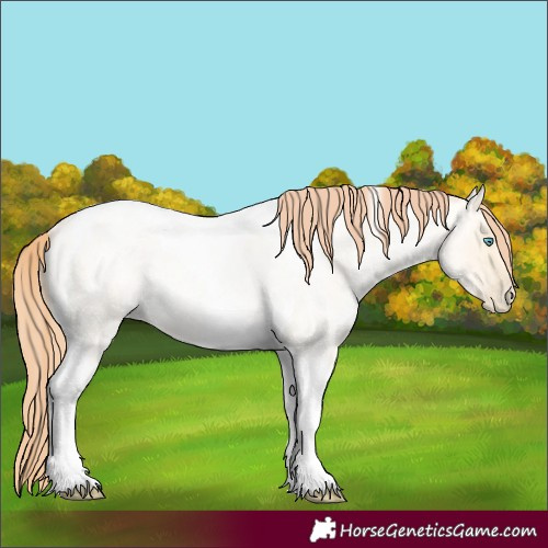 Horse Color:Amber Cream Champagne Roan Pearl Dun Tobiano Rabicano