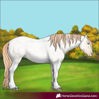 Horse Color:Amber Cream Champagne Roan Pearl Dun Tobiano Rabicano