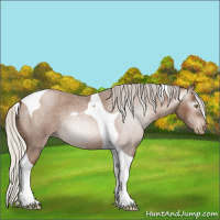 Horse Color:Gray Silver Brown Roan Pearl Tobiano 