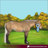 Horse Color:Silver Buckskin Dun 